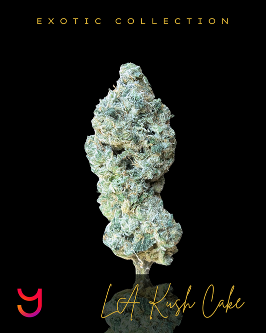 Close-up of LA Kush Cake cannabis buds by YAGA Farms, showcasing dense and compact structure with light and dark green tones, vibrant purple accents, fiery orange pistils, and a thick coating of shimmering trichomes.