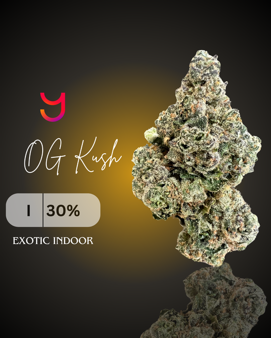 YAGA Farms OG Kush — true original OG genetics (Chemdawg × Hindu Kush); dense, frosty buds with classic gas-and-pine notes; California small-batch.