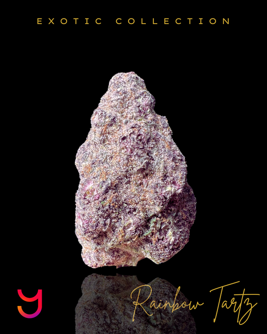 A close-up of YAGA Farms' Rainbow Tartz cannabis bud, showcasing its dense, compact structure with vivid purple and rich green hues. Fiery orange pistils weave through the frosty white trichomes, highlighting its premium exotic quality