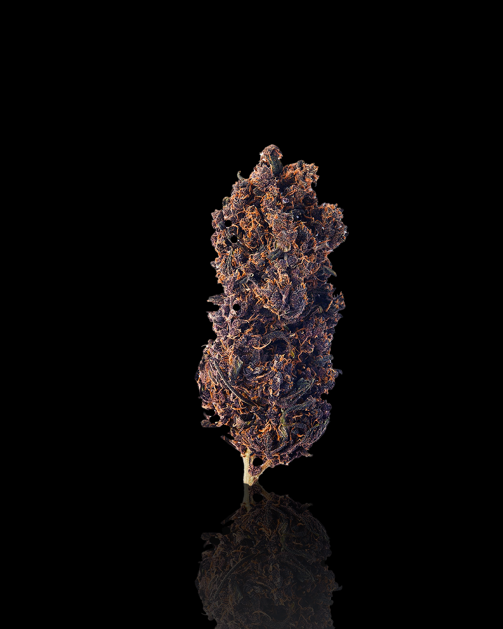 Legendary OG – YAGA Farms