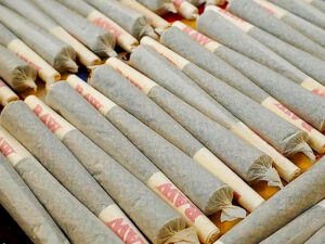 cbd pre rolls