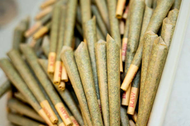 Clear jar containing 20 premium half-gram Dogwalkers pre-rolls made with exotic indoor THCa flower, showcasing raw cones neatly arranged for a smooth, flavorful, and high-quality cannabis experience.