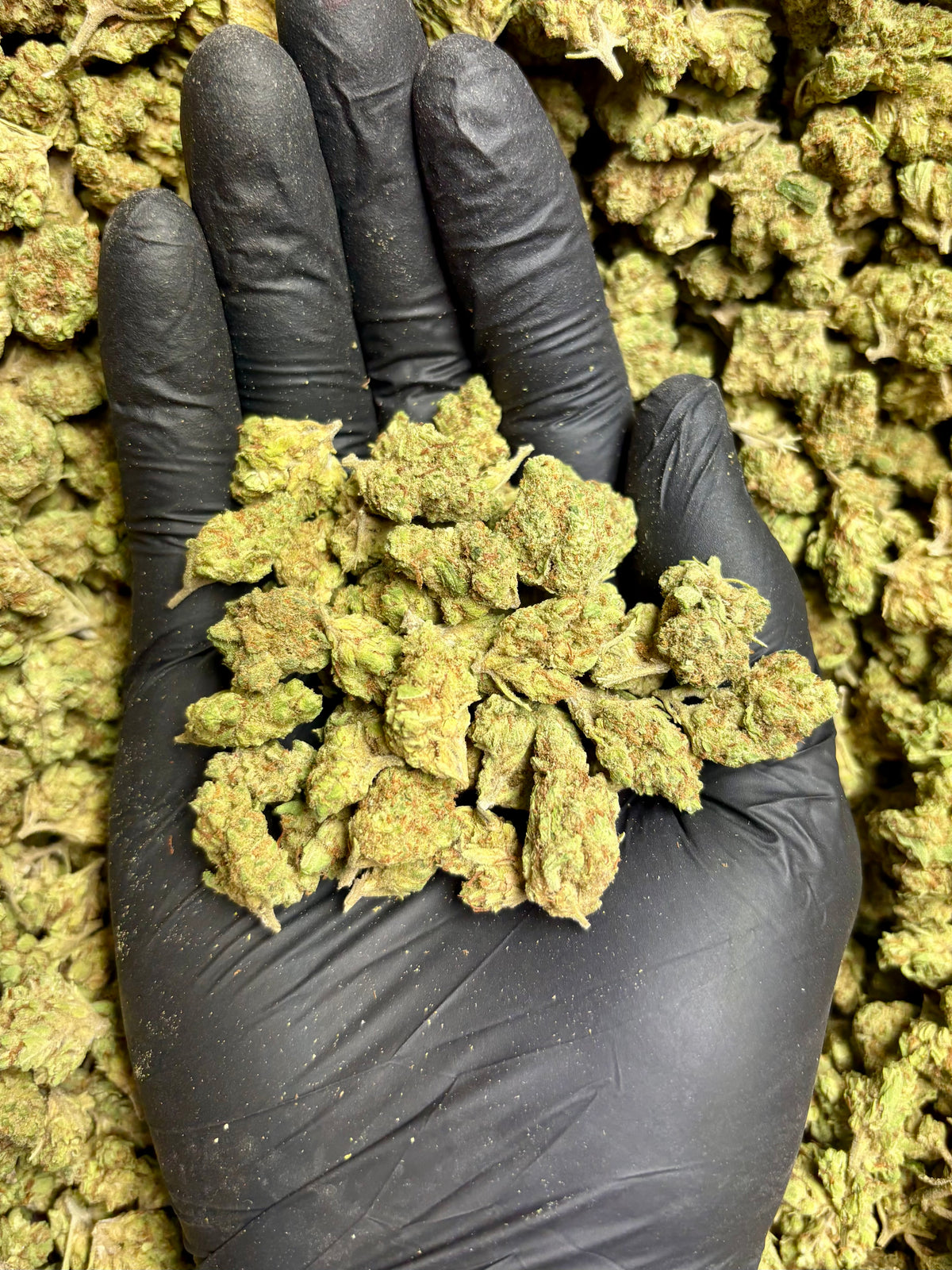 Smalls Ounces