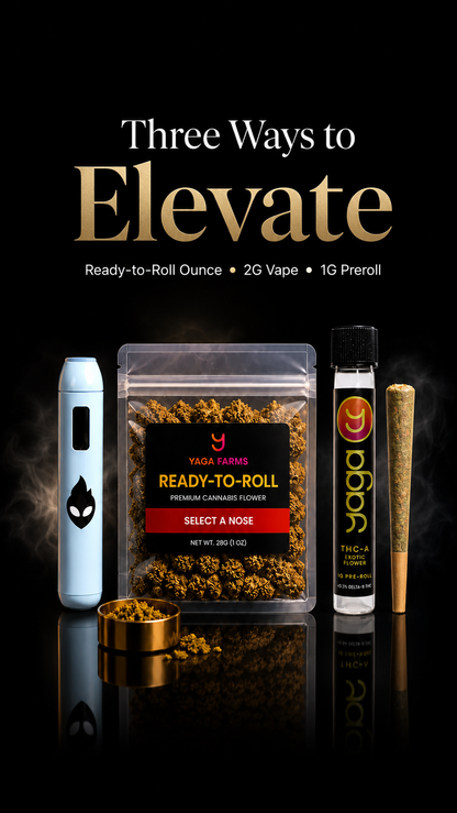 Three Ways to Elevate. Bundle