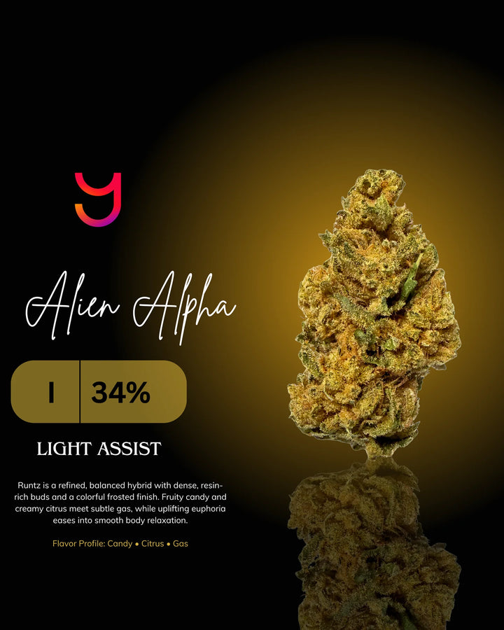 Alien Alpha
