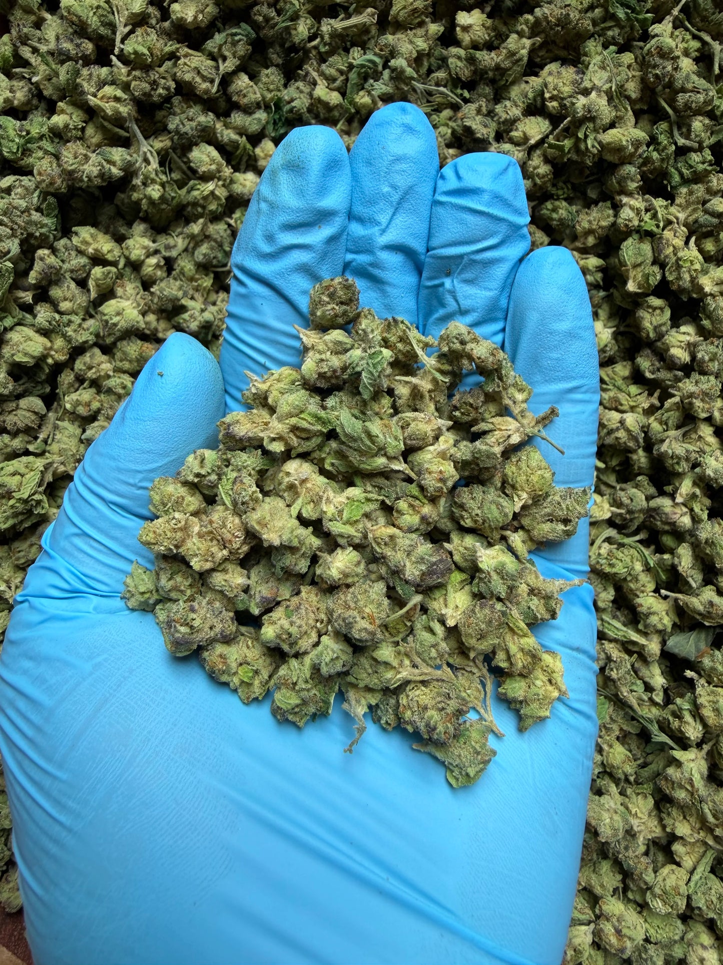 Smalls Ounces