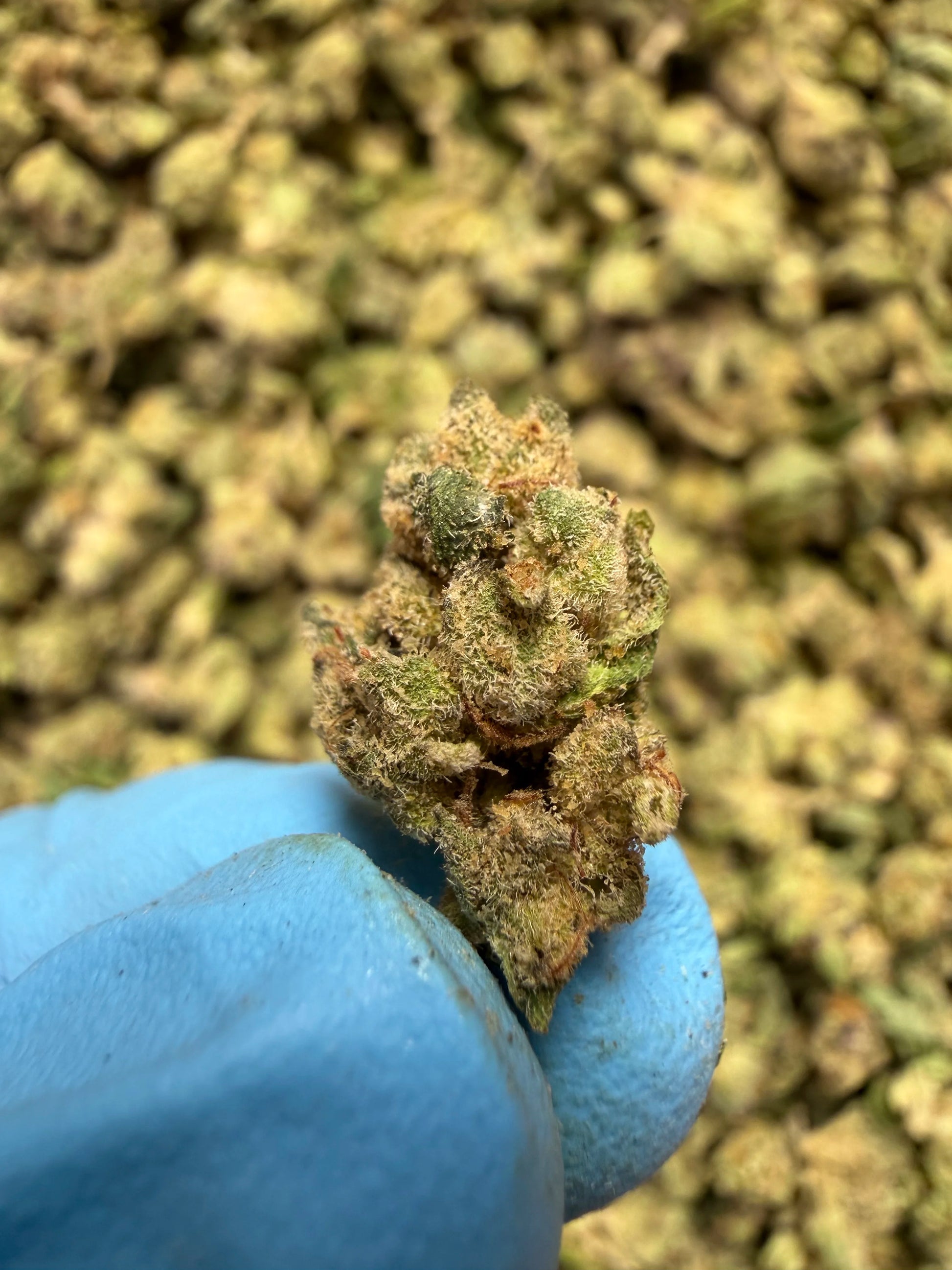 Smalls Ounces