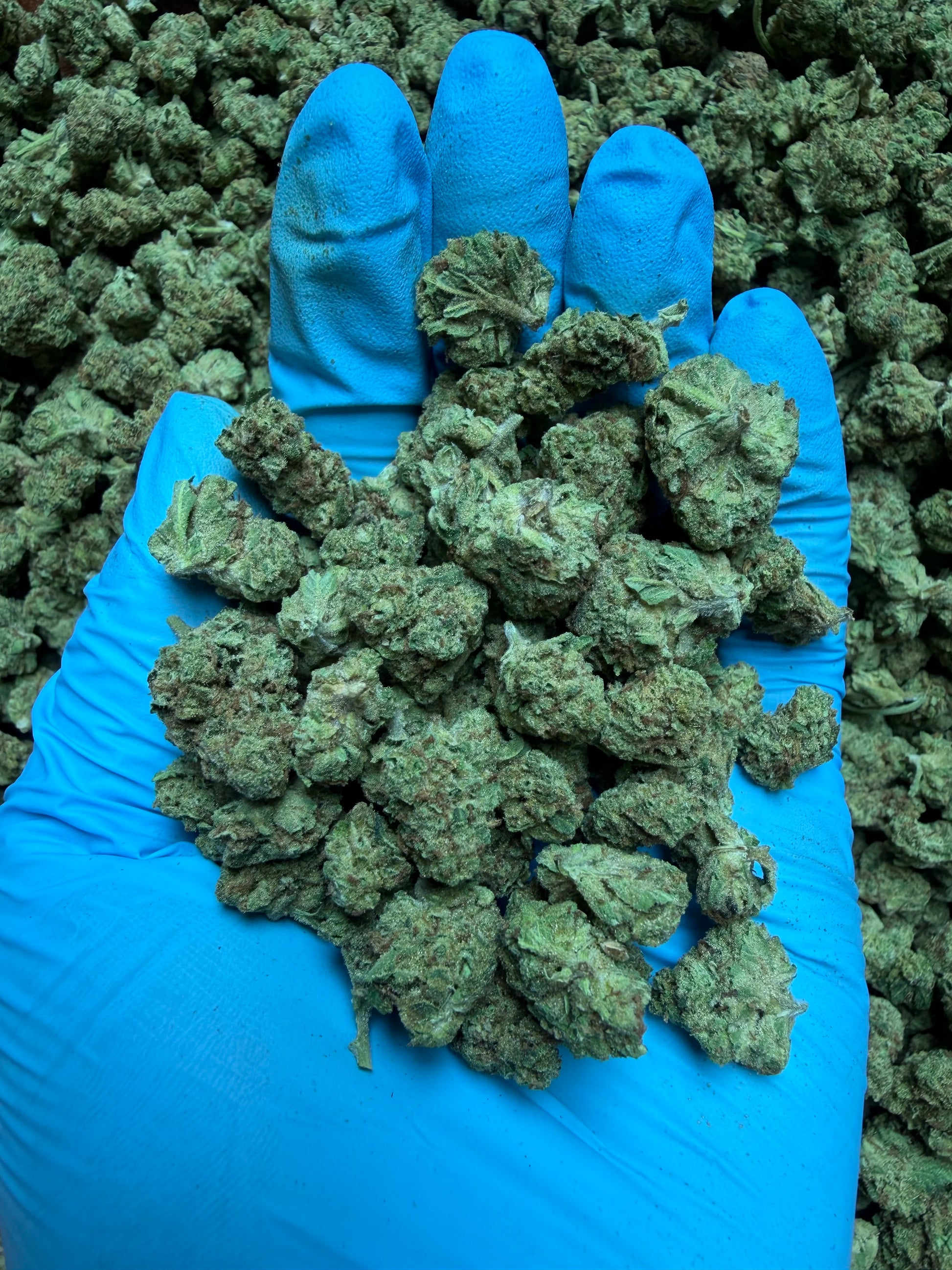 Smalls Ounces