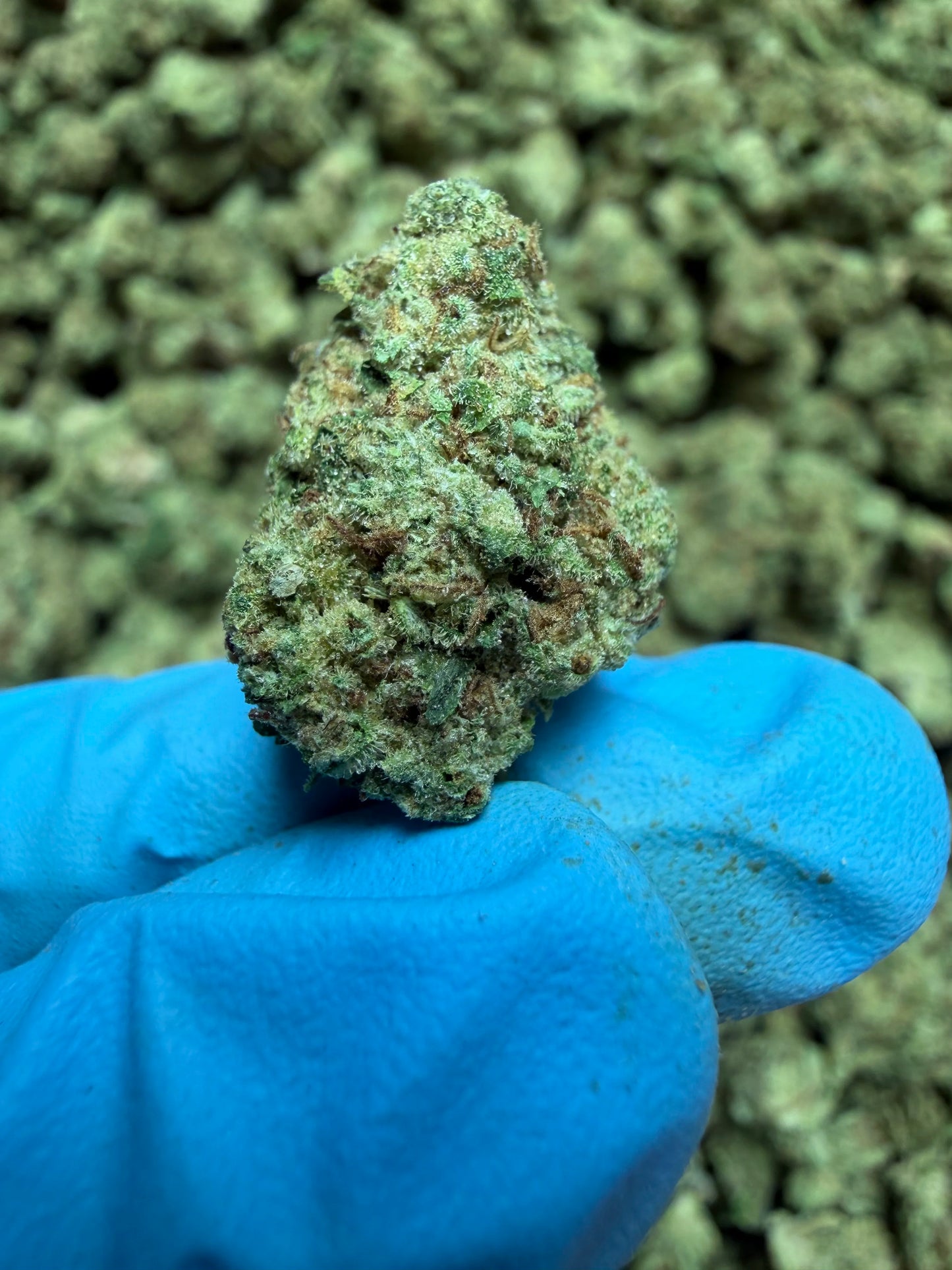 Smalls Ounces