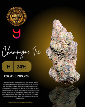 YAGA Farms Champagne Ice THCa flower product image