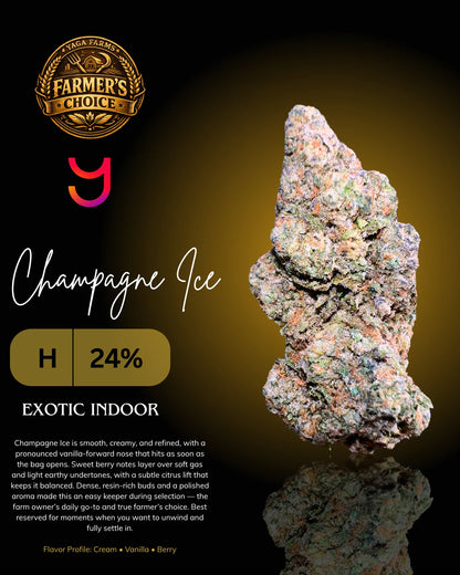 Champagne Ice