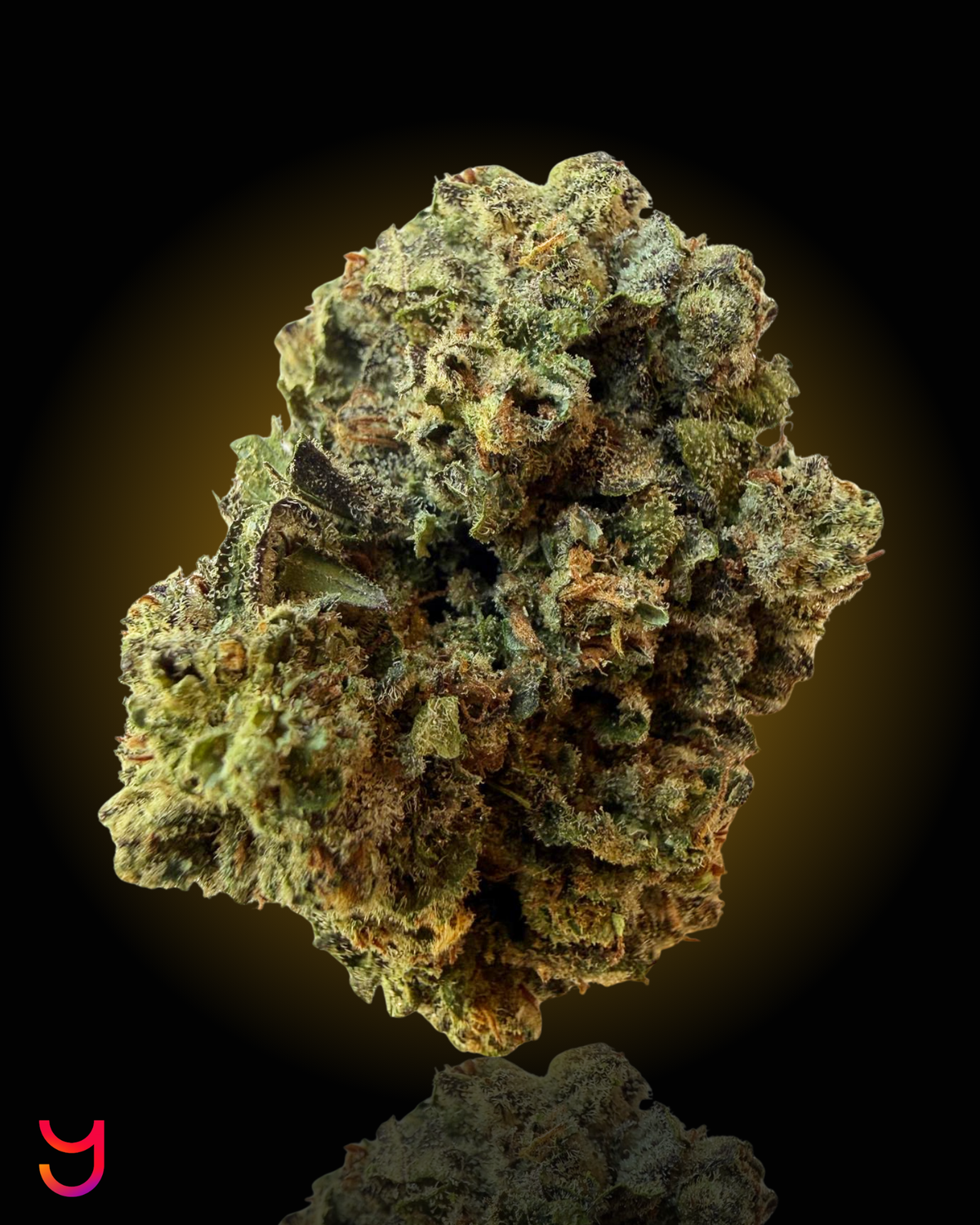 Double Runtz THCa flower