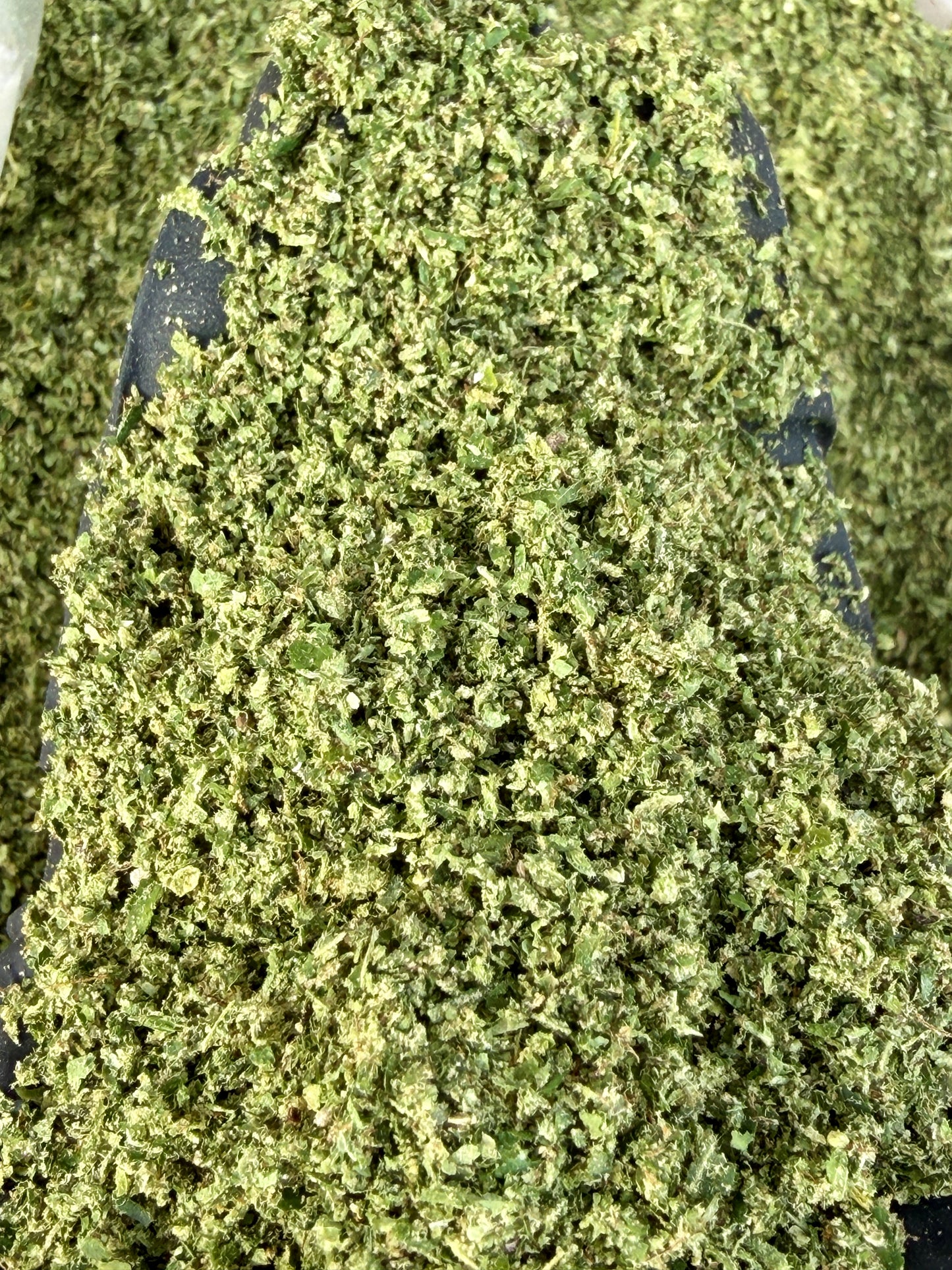 Ready-to-Roll Ounces Flower Blend | Strain-Specific & Terp-Infused