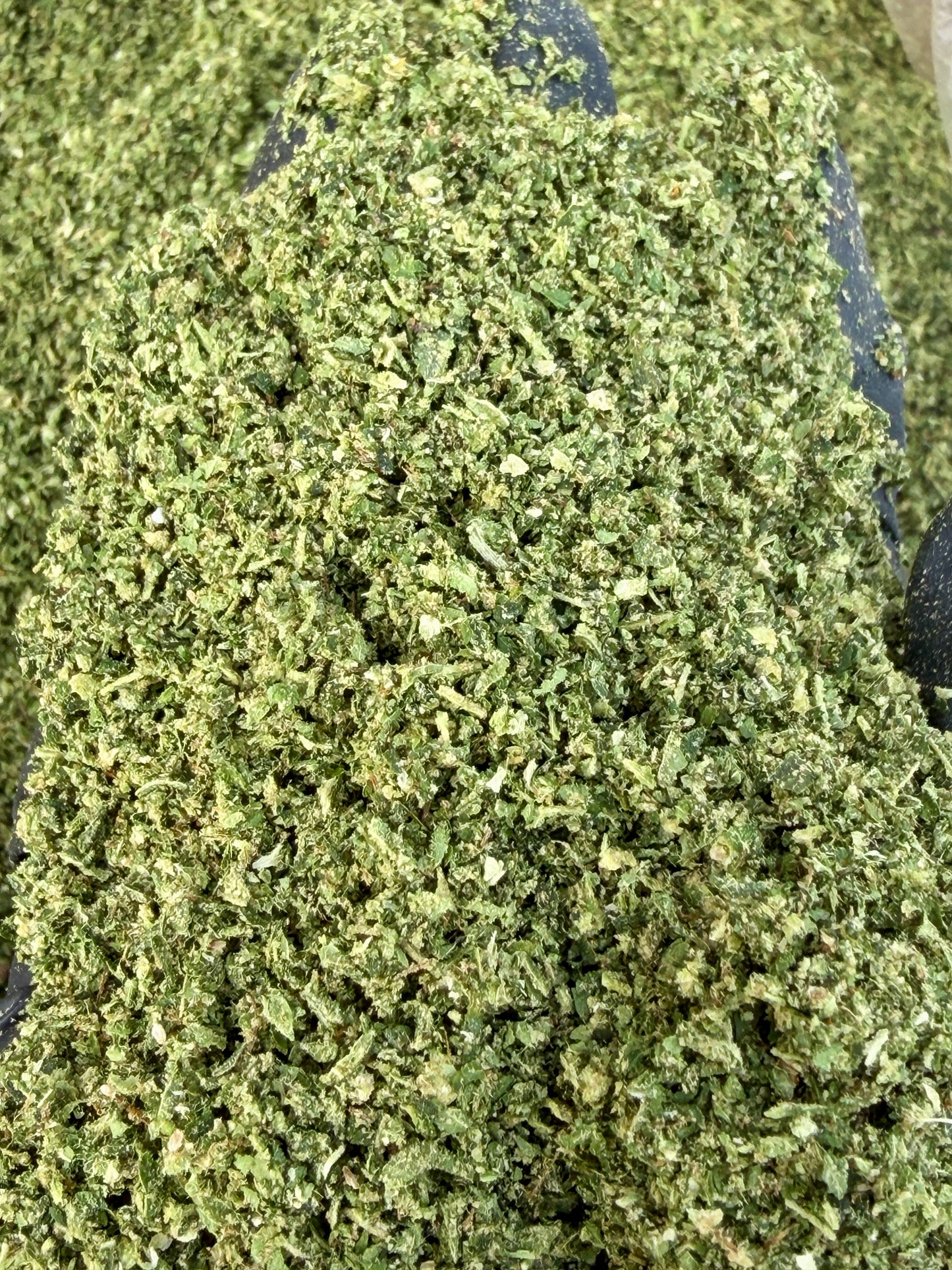 Ready-to-Roll Ounces Flower Blend | Strain-Specific & Terp-Infused