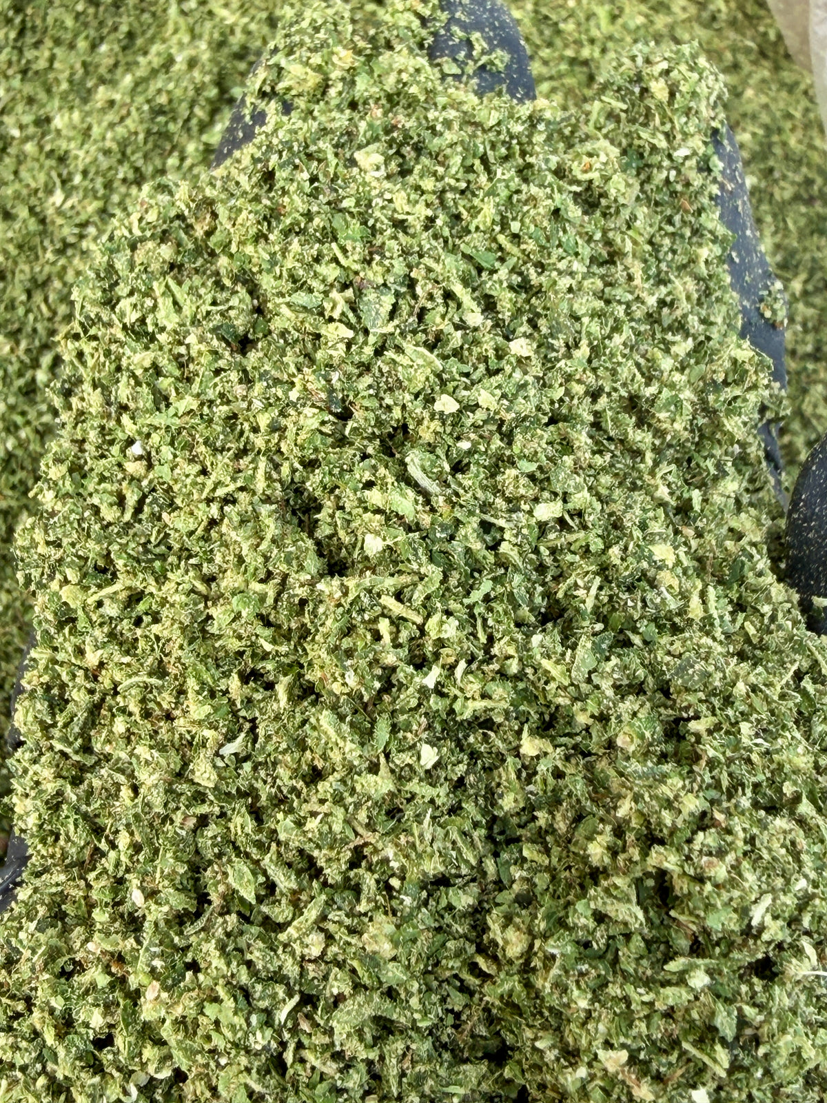 Ready-to-Roll Ounces Flower Blend | Strain-Specific & Terp-Infused