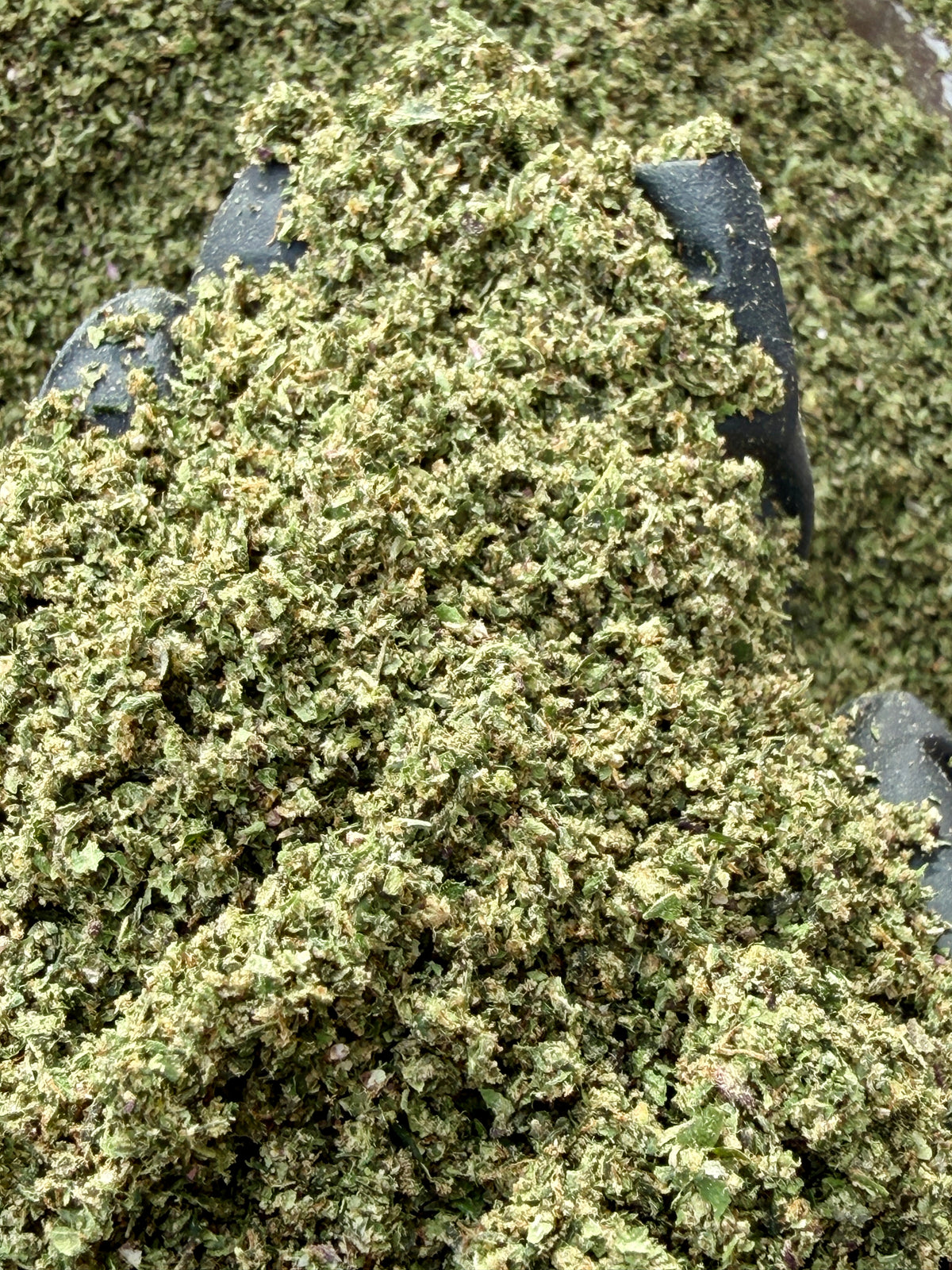 Ready-to-Roll Ounces Flower Blend | Strain-Specific & Terp-Infused