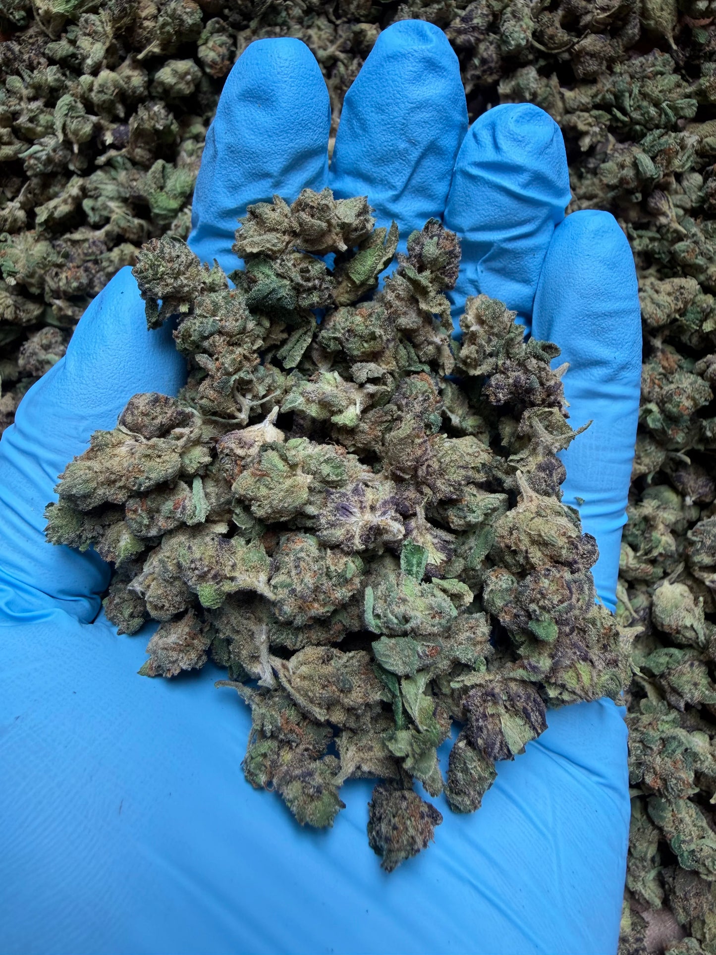 Smalls Ounces