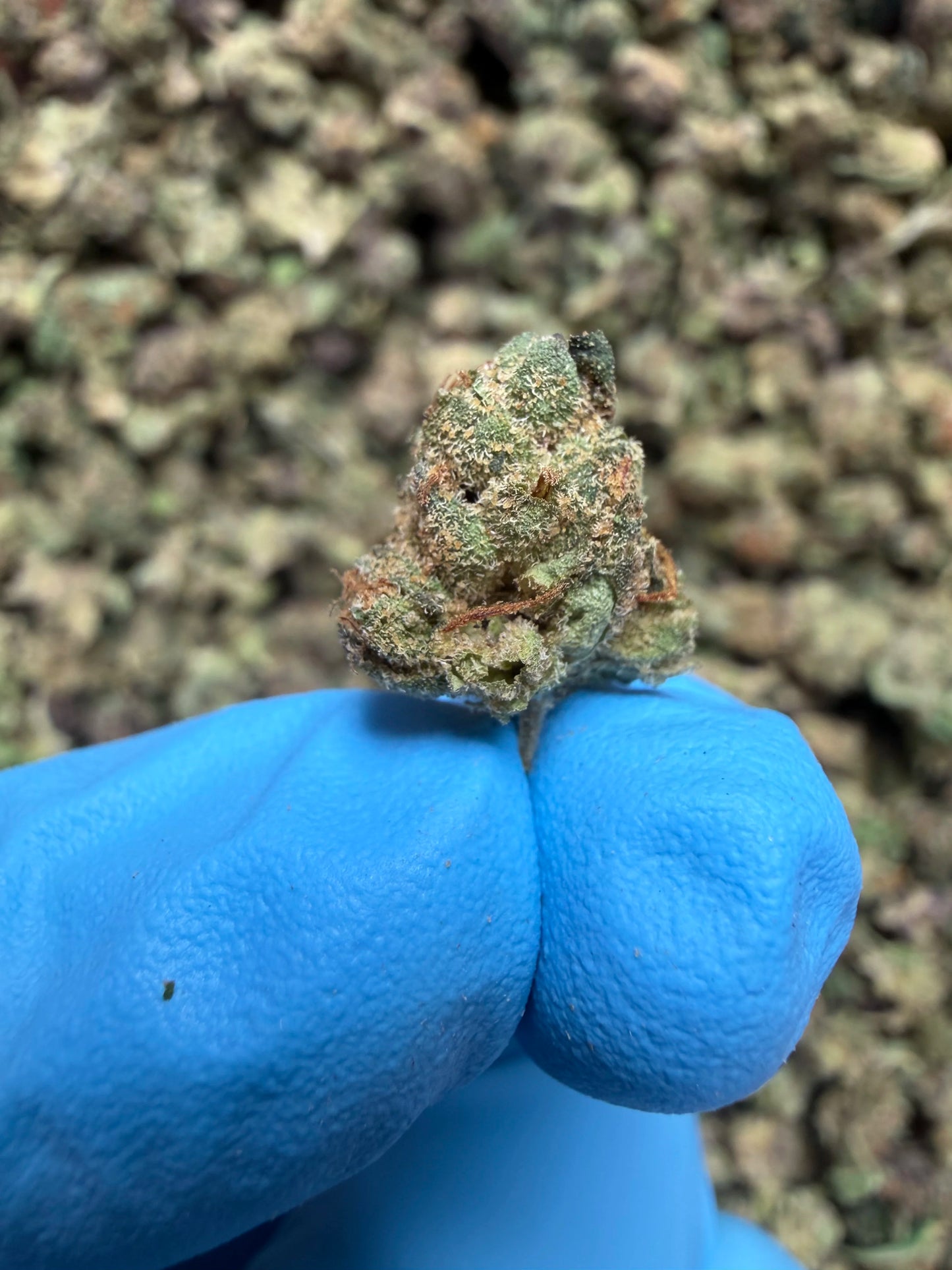 Smalls Ounces