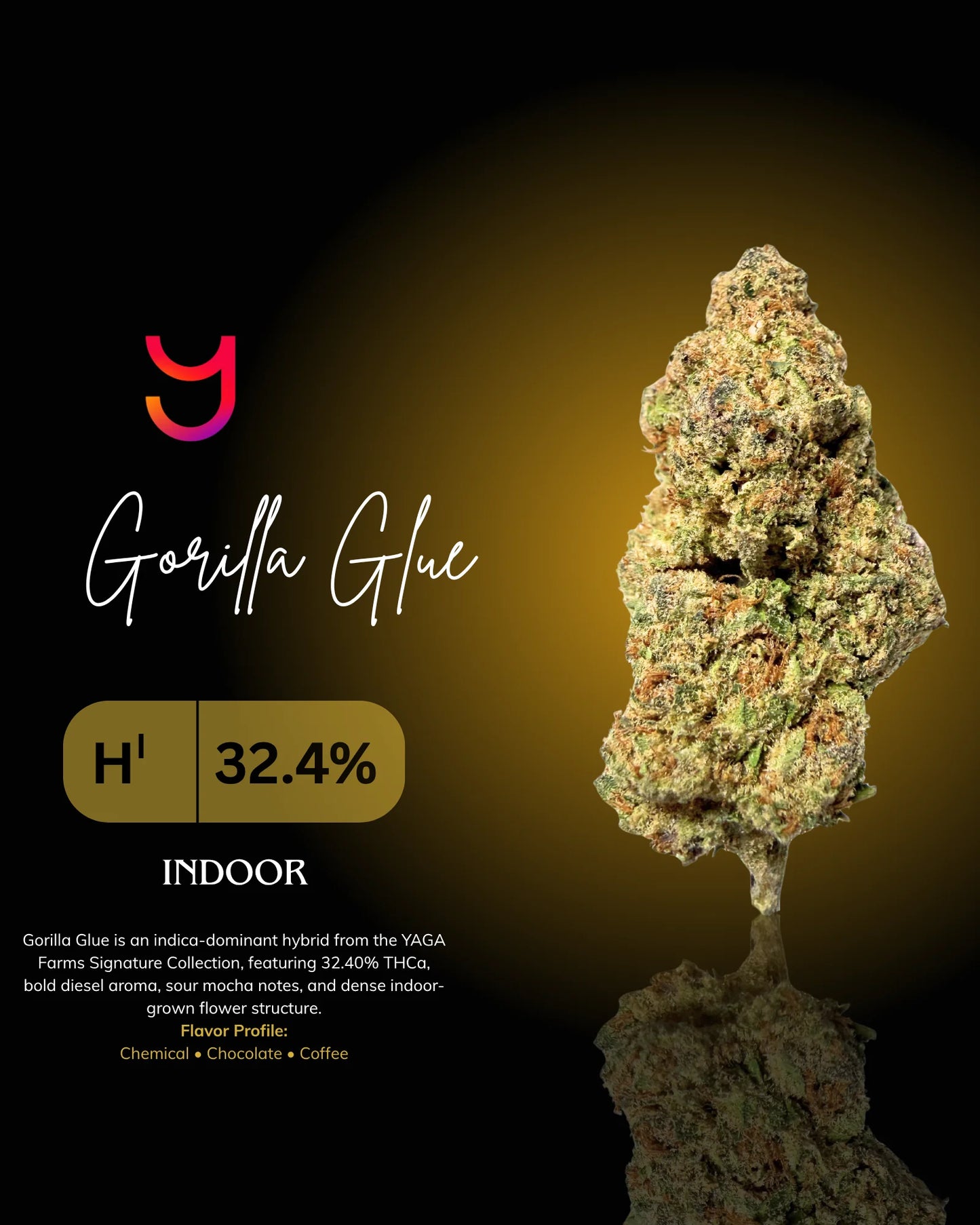Gorilla Glue