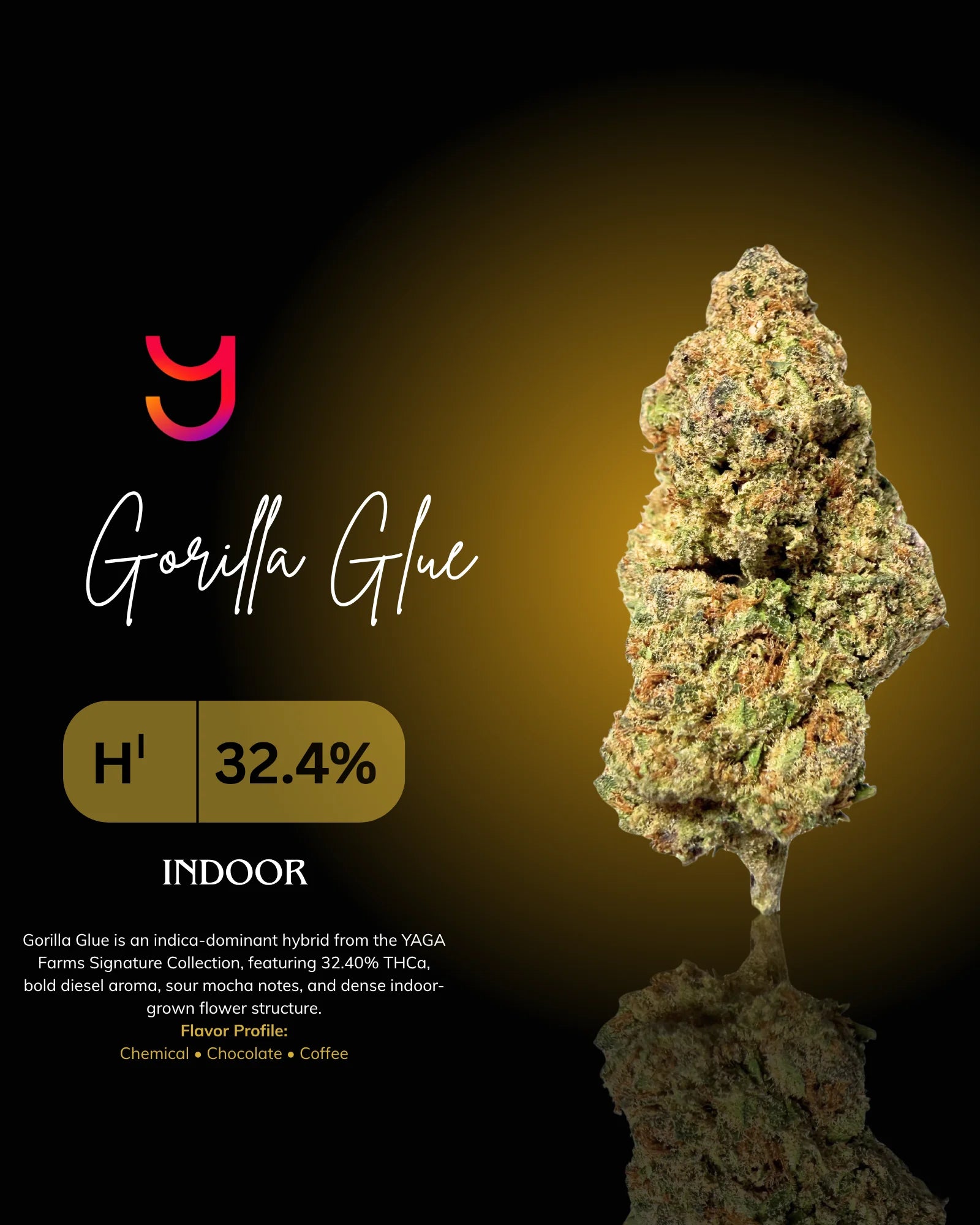 Gorilla Glue