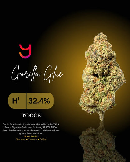 Gorilla Glue