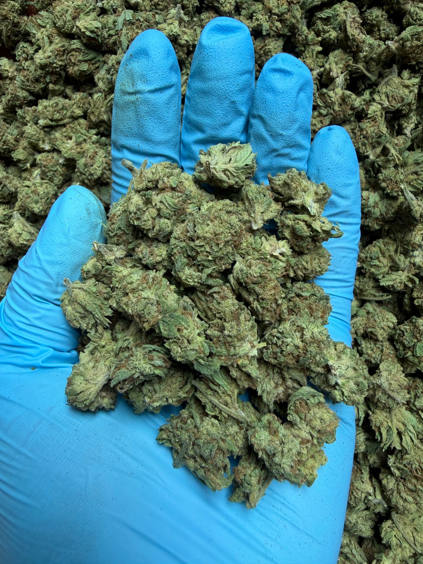 Smalls Ounces