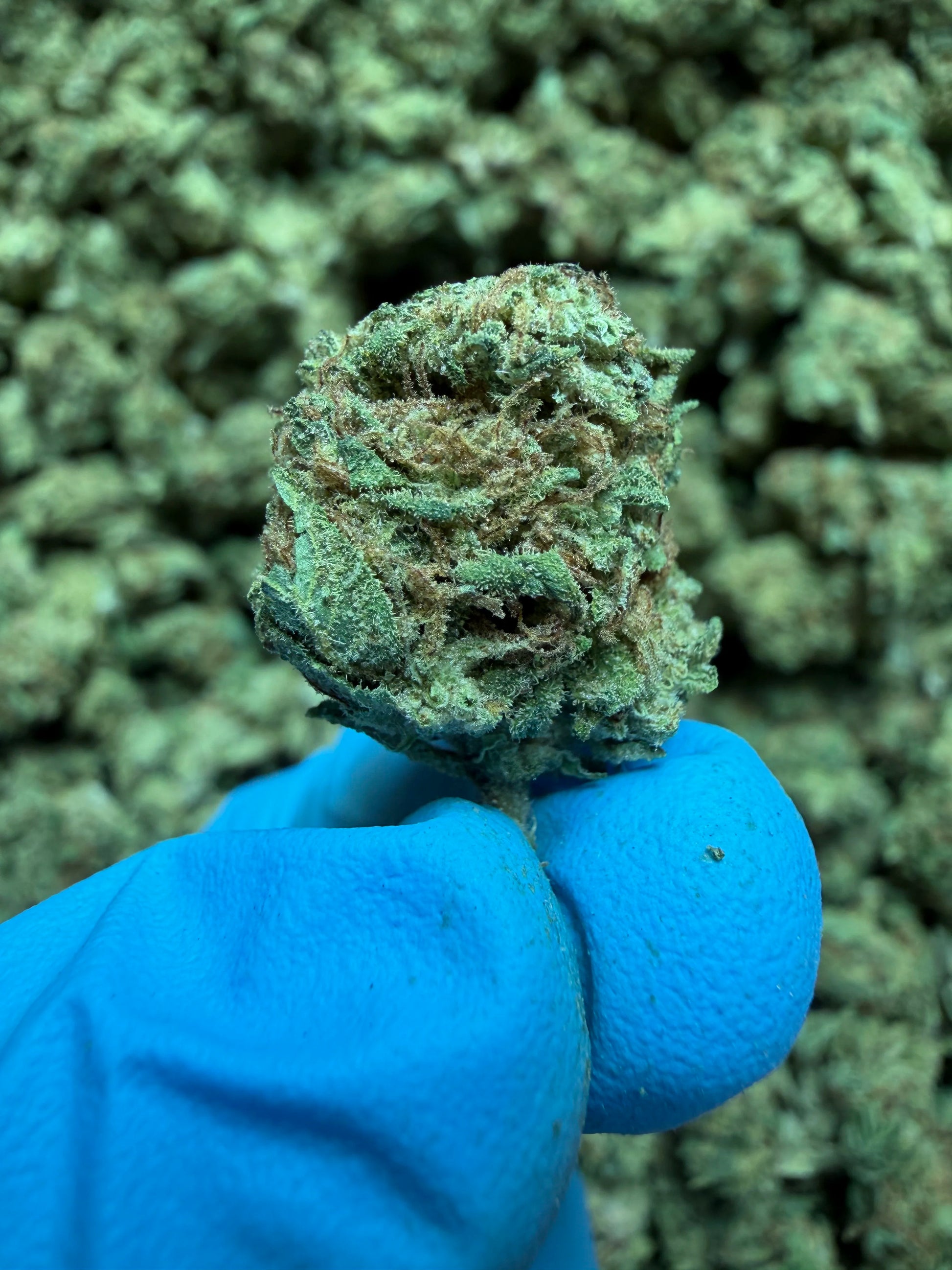Smalls Ounces