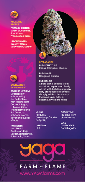 The back of the Sherbanger rack card displaying cultivation details in a table format. Includes information such as Lineage (Sunset Sherbet x Headbanger), Soilless Medium, Daily Nutrients, Grow Time (143 days), Bud Shape (Elongated Conical), and Music used during cultivation (Psydub & Downtempo).