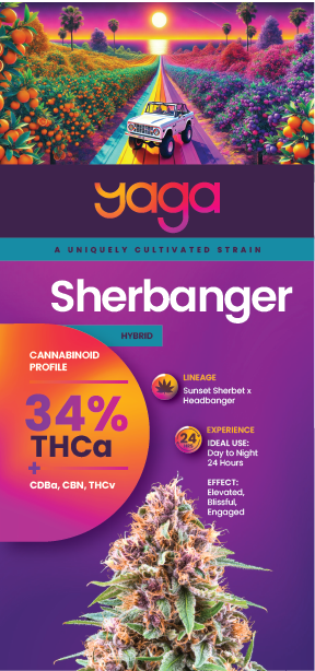 The front of the Sherbanger rack card featuring the YAGA Farms Private Reserve Collection. Includes the strain name “Sherbanger,” THCa percentage (33.76%), and highlighted effects: Elevated, Blissful, Engaged. The background includes YAGA gradient accents with imagery of the bud and vivid icons for flavor and aroma.