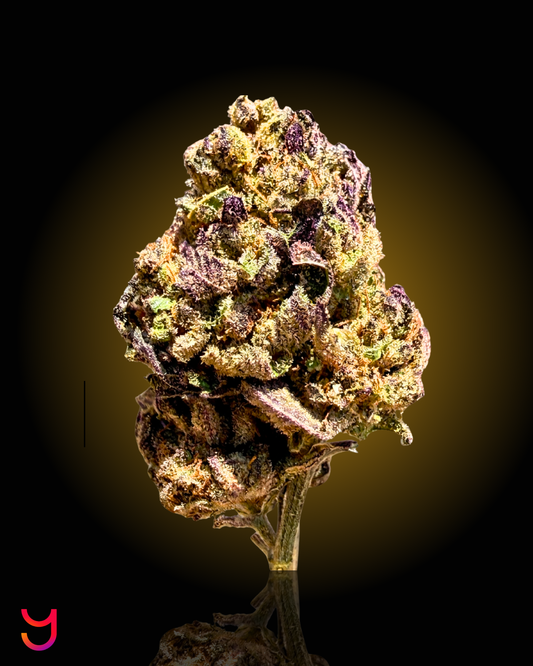 Citrus Berry Gas