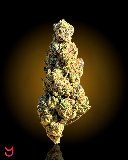 Lilac Diesel