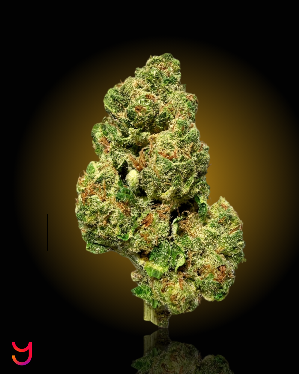 Wild Pineapple Cherry