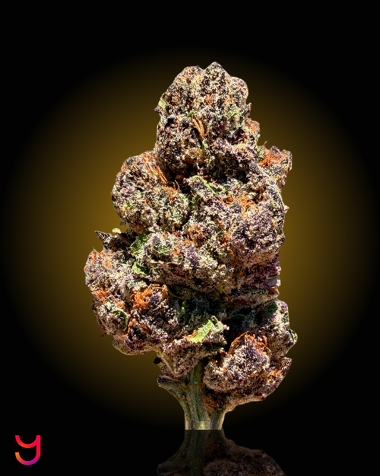Tropicana Cherry