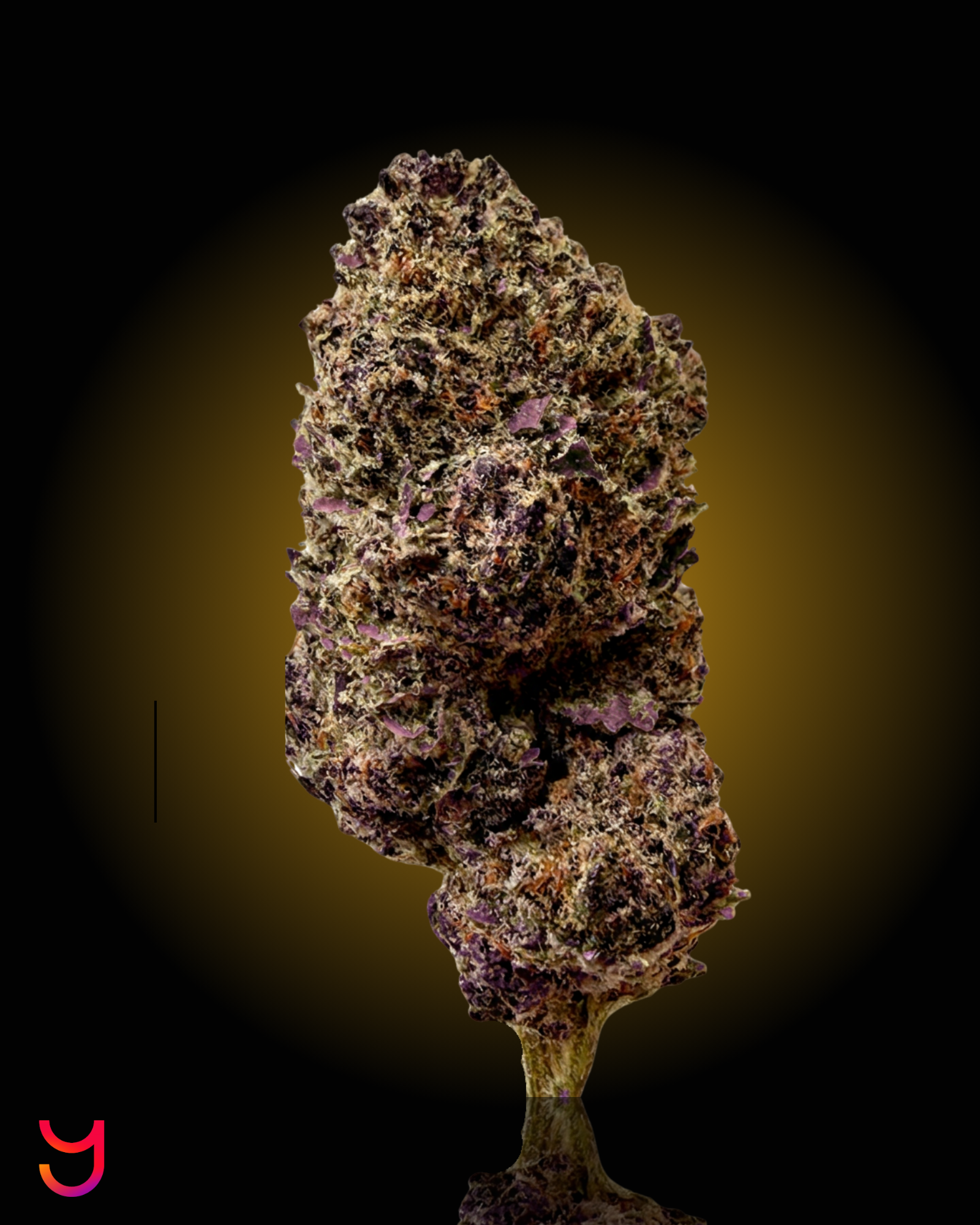 Trainwreck