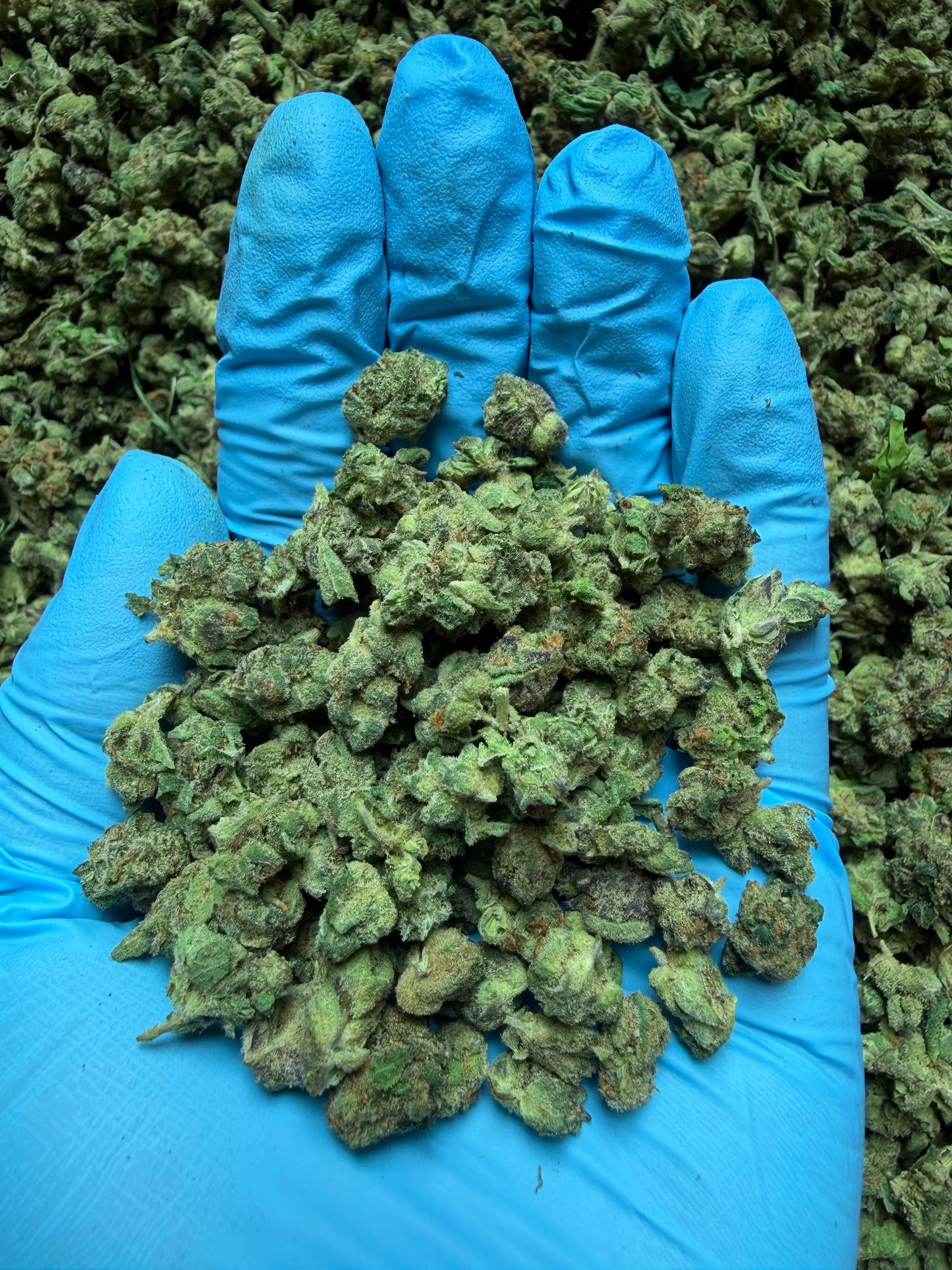 Smalls Ounces
