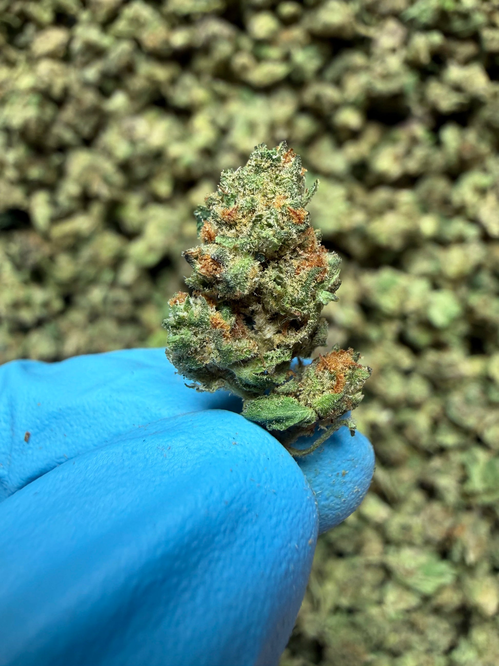 Smalls Ounces