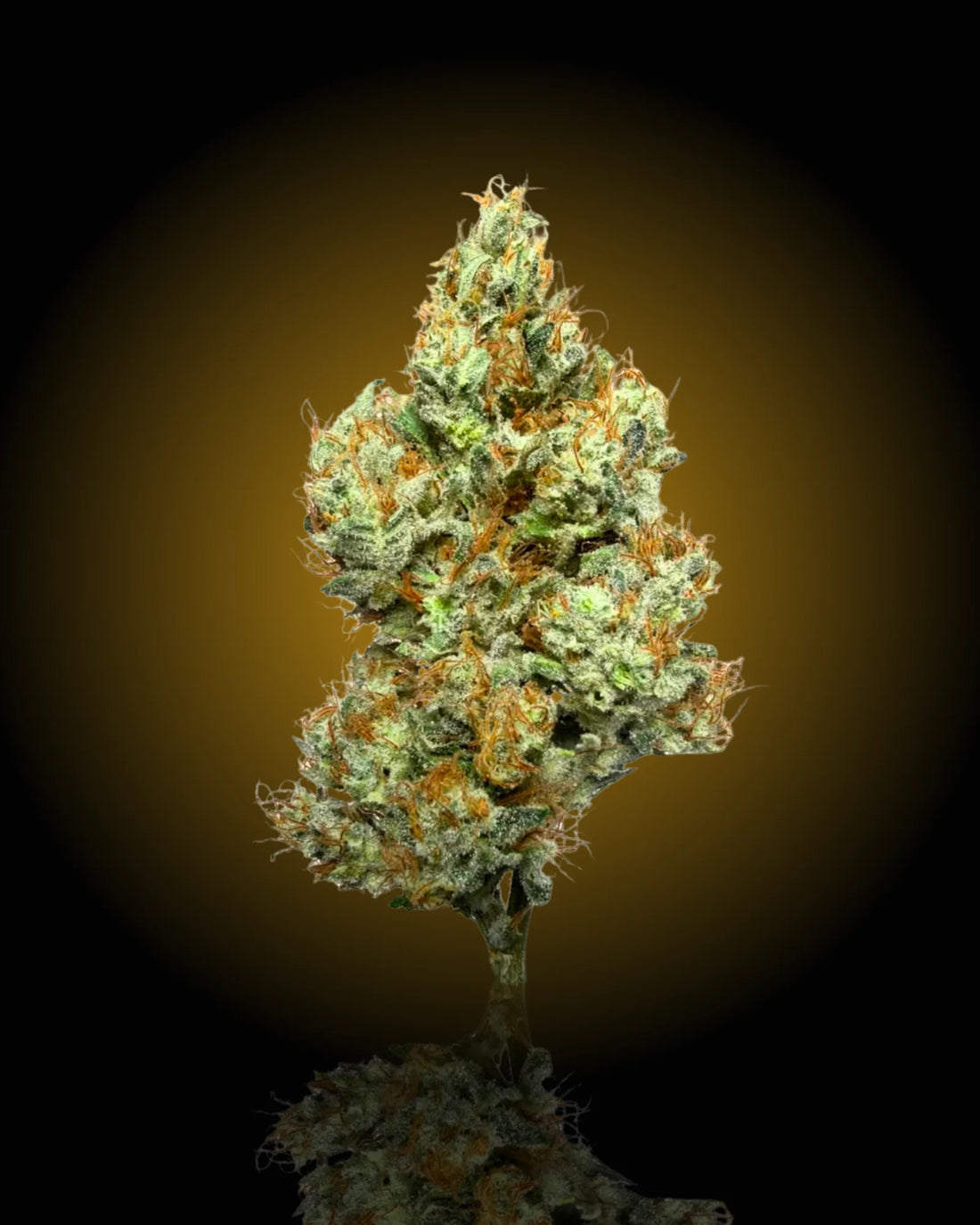 Mad Fruit THCa flower by YAGA Farms featuring vibrant green buds, frosty trichome coverage, bright orange pistils, and a terpene-rich citrus and melon aroma. Premium California-grown exotic indoor cannabis.