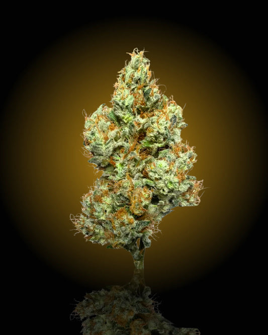 Mad Fruit THCa flower by YAGA Farms featuring vibrant green buds, frosty trichome coverage, bright orange pistils, and a terpene-rich citrus and melon aroma. Premium California-grown exotic indoor cannabis.