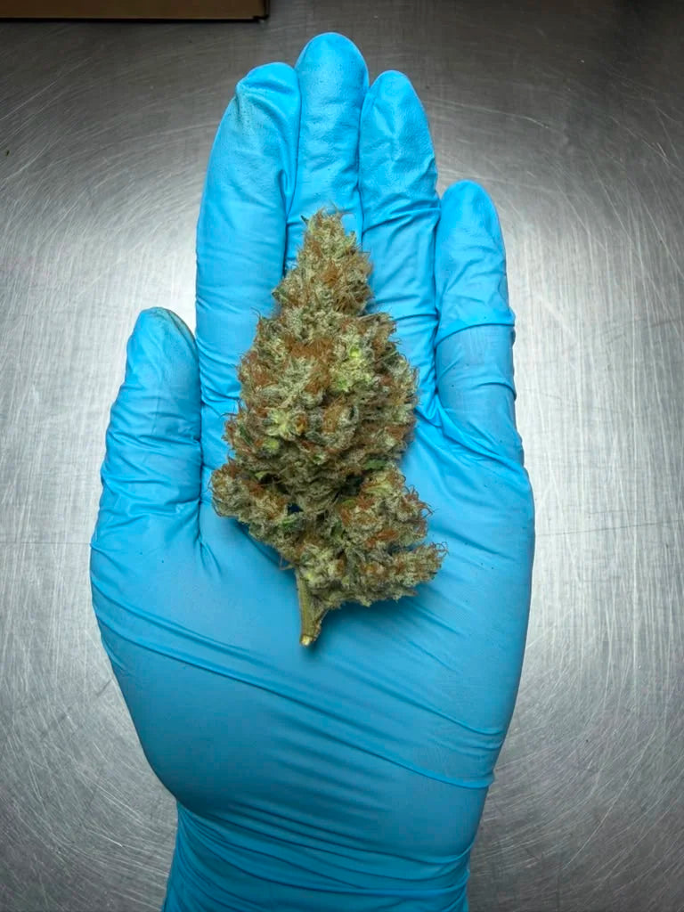 YAGA Farms Mad Fruit THCa flower close-up product image