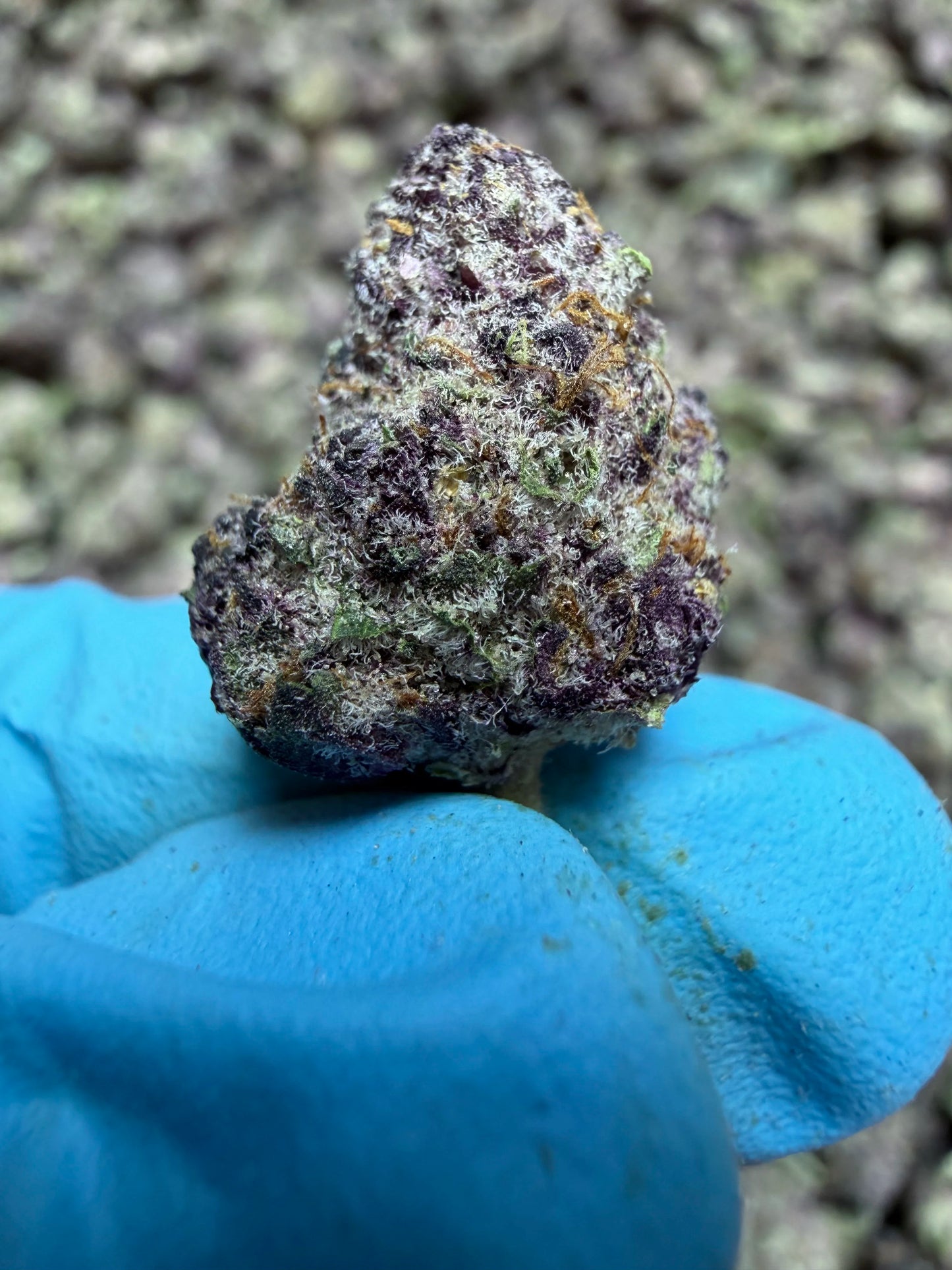 Smalls Ounces