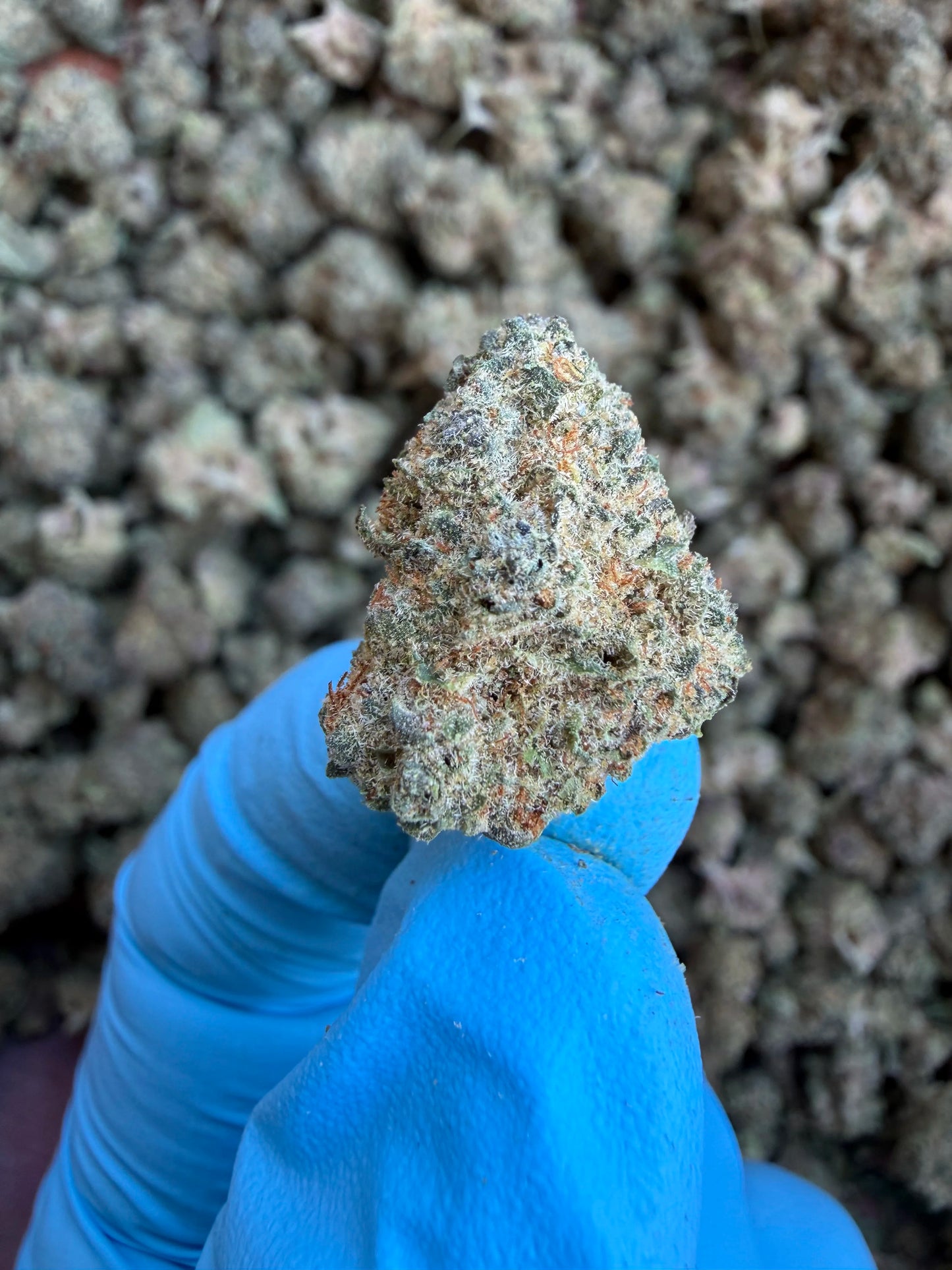 Smalls Ounces
