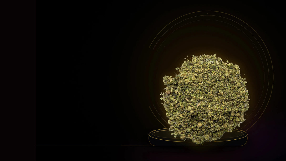 THE THCA SHAKE YOU LOVE IS HERE!