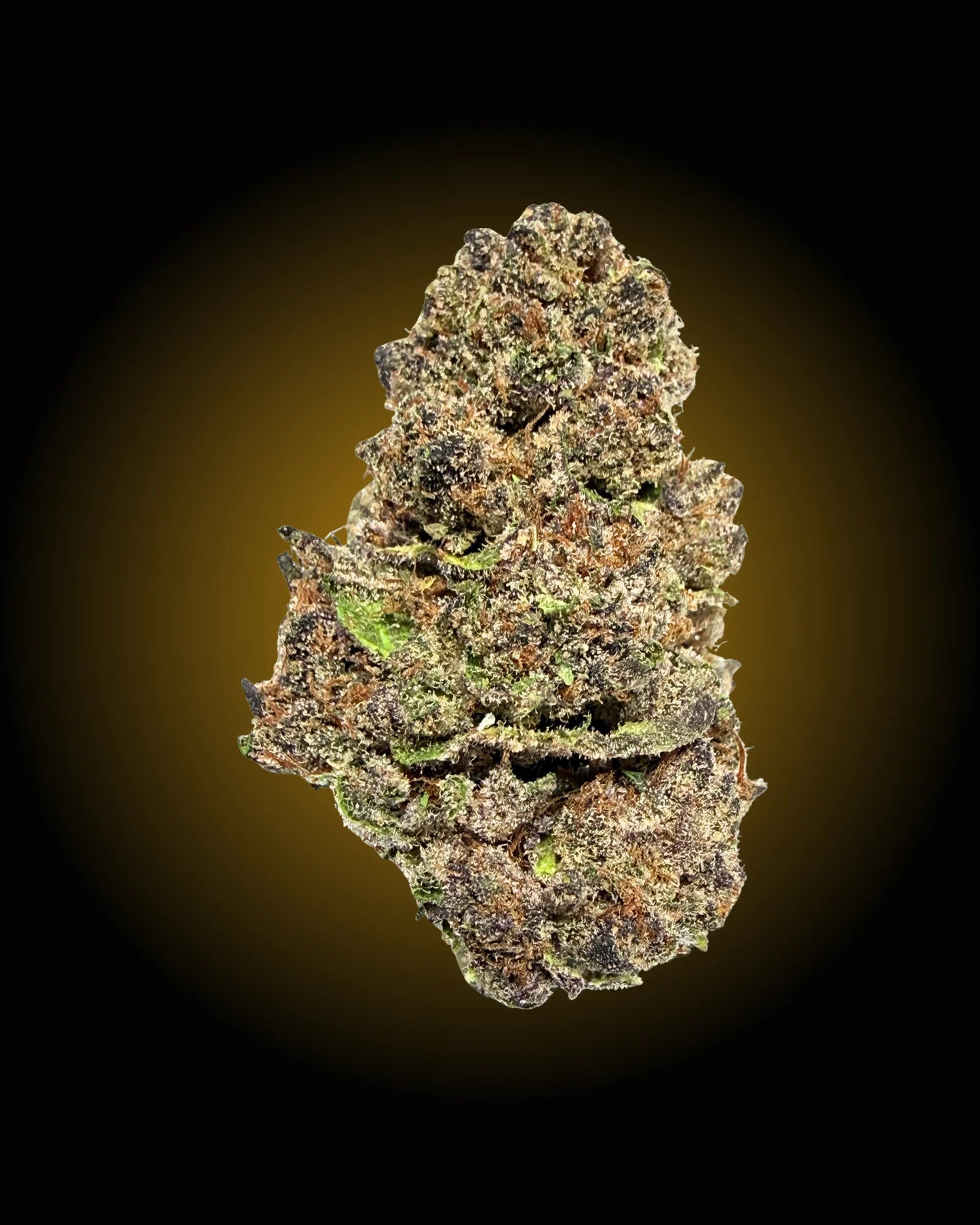 Tropicana Cherry