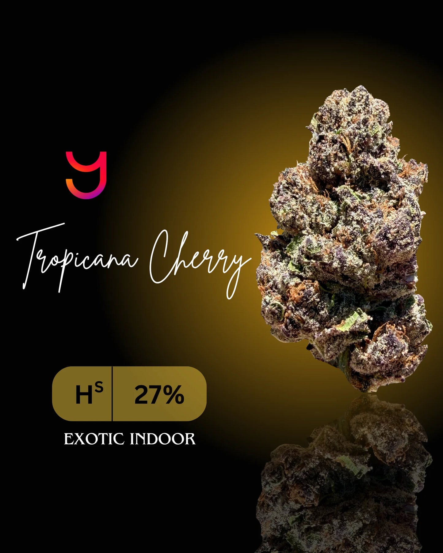 Tropicana Cherry