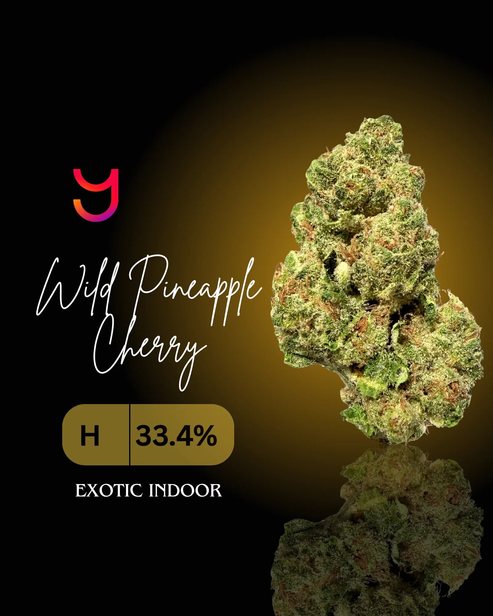 Wild Pineapple Cherry
