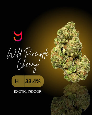 Wild Pineapple Cherry