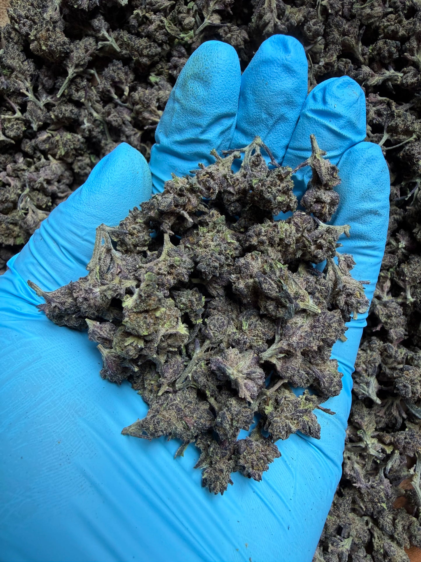 Smalls Ounces