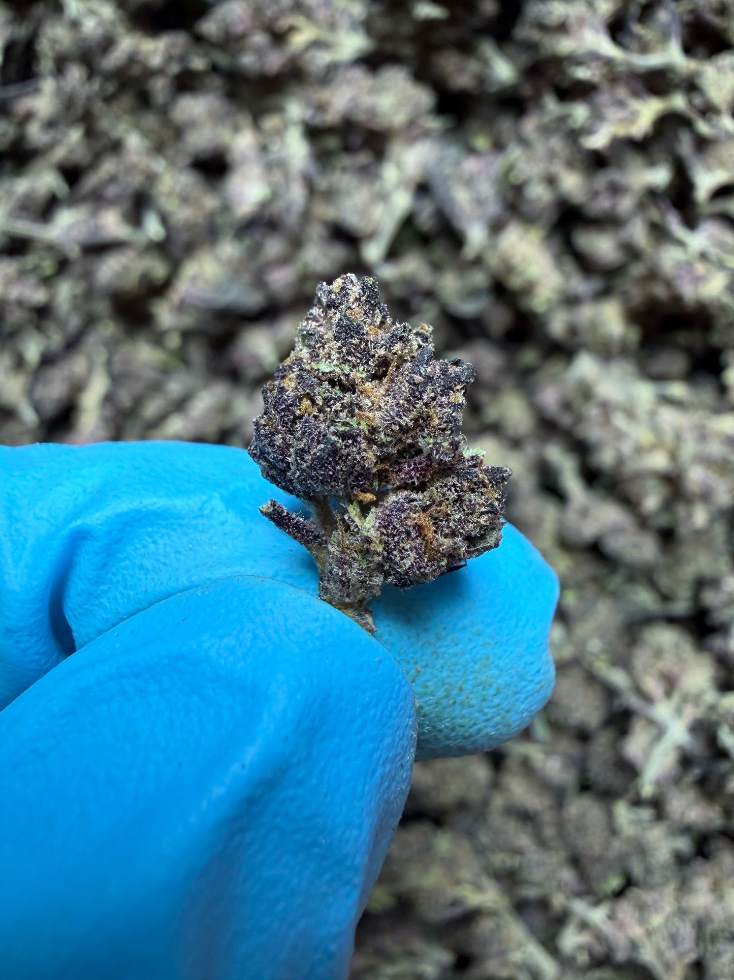 Smalls Ounces