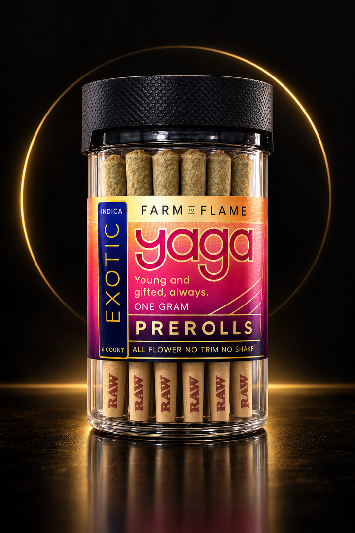THCa Kief Infused Pre-Roll Six-Pack