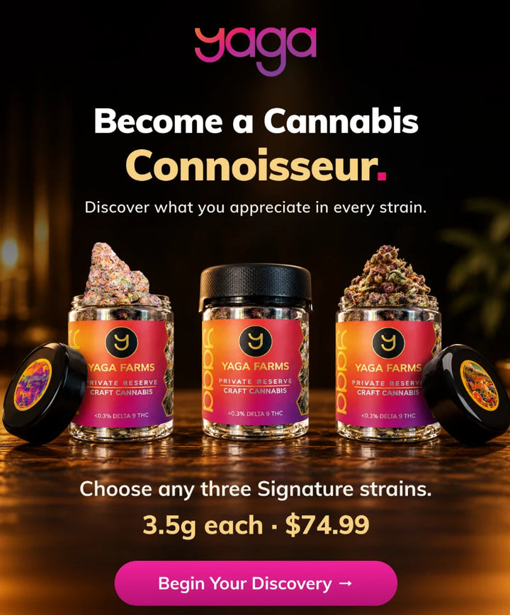 Connoisseur Discovery Set